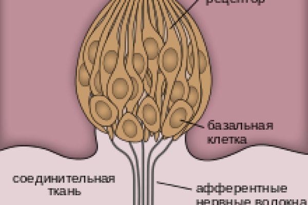 Кракен рабочая ссылка